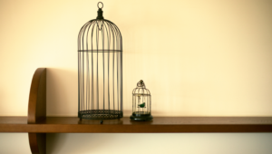 Christophe Humblet médiation et thérapie familiale Bruxelles Auderghem addiction