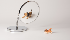 Vaincre ses peurs, retrouver confiance et estime de soi, Auderghem, Christophe Humblet