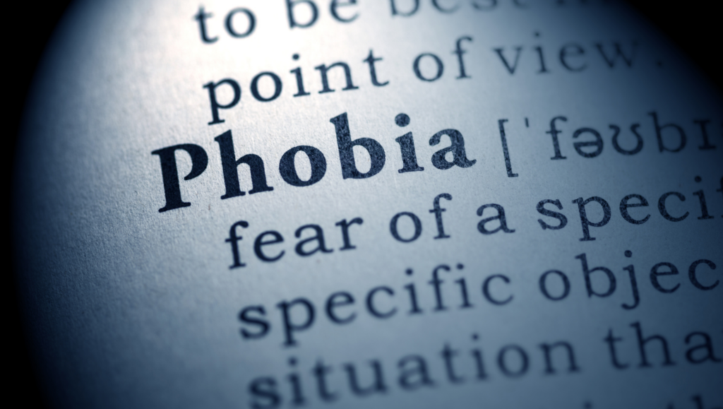 Vaincre ses phobies, avion, transport, aiguille, araignée, bruxelles, auderghem, christophe humblet